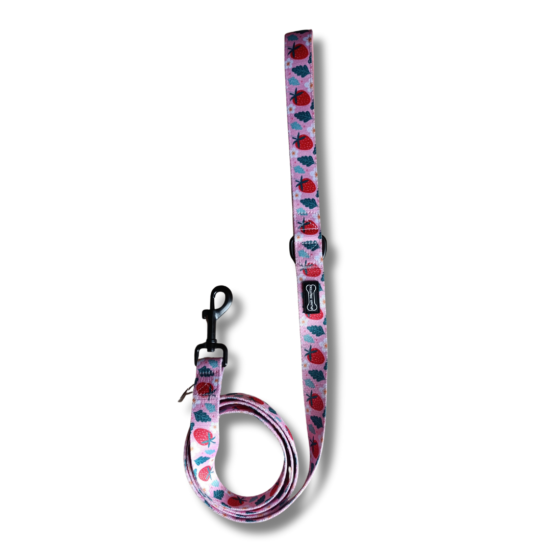 Sweet Paws Póráz