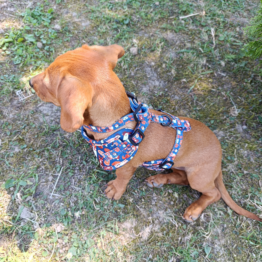 Pup & Cookie Hám